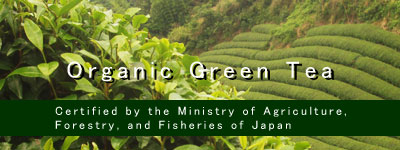 Organic Green Tea