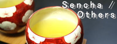 Sencha / Others