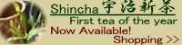 Shincha_12