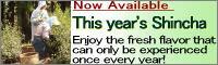 Shincha! Now Available