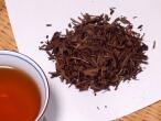 Organic Houjicha