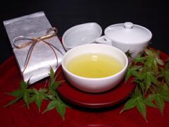  Sencha Pinnacle 