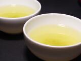  Sencha Pinnacle 