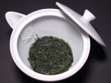 Sencha Pinnacle 