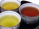 Teabag Tasting Set Forest