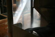 Houjicha