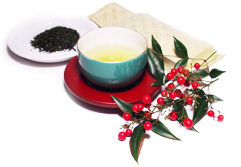 Sencha Premium