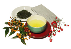 Sencha Premium