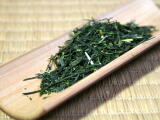 Shincha