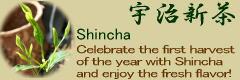 Shincha