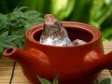Iced Gyokuro