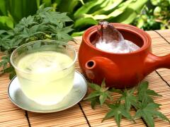 Gyokuro