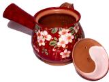  Tohan Kyusu 
