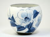  Camellia Tama Yunomi 