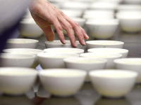 2013 Award Competition Grade Matcha