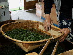 Maturation of Kuradashi Tea