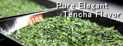 Pure Elegant Tencha Flavor