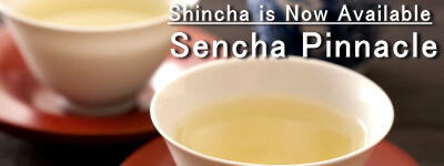 [Shincha] Sencha Pinnacle