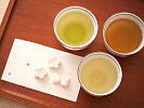 Organic Tea Tasting Set (3 x each 100g/3.53oz)