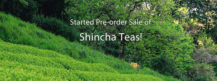 Shincha is Now Pre-orders Taken!