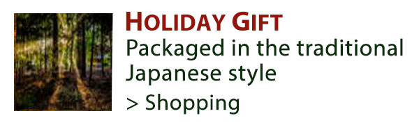 Holiday's Gift_23