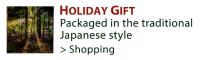 Holiday's Gift_23