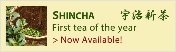 Shincha_23