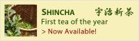 Shincha_23