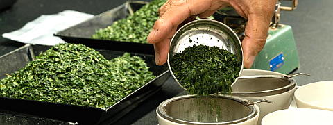 Gyokuro