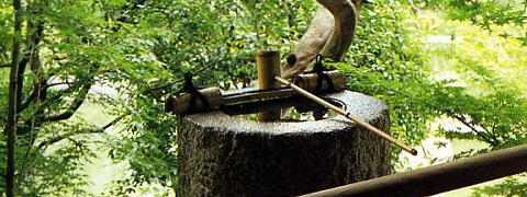 Sencha / Others