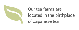 Our tea farms are located in the birthplace of Japanese tea