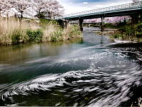 Wall Paper Free Download