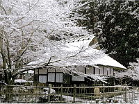 Wall Paper Free Download