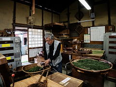Coming of Autumn (Kuradashi Tea)