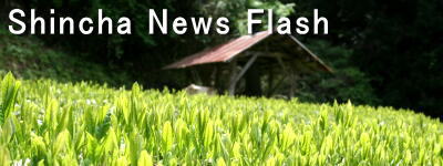 Shincha News Flash 2011 (2)