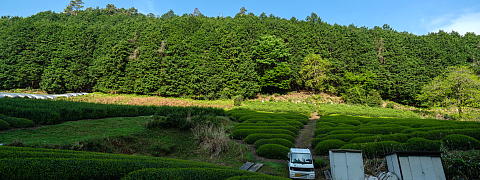 360° Panorama View - Shincha News Flash