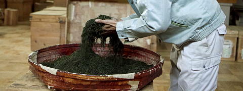 Blended Sencha  Arcanum