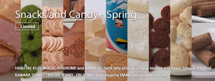Japanese Snacks / Candy 