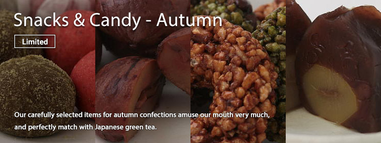 Japanese Snacks and Candy / Autumn