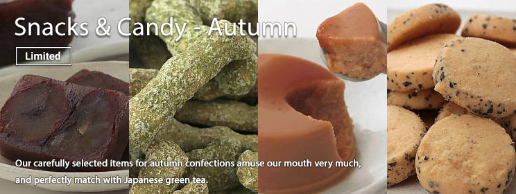 Japanese Snacks and Candy / Autumn