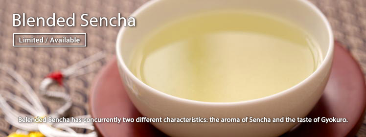 Blended Sencha is Now Available