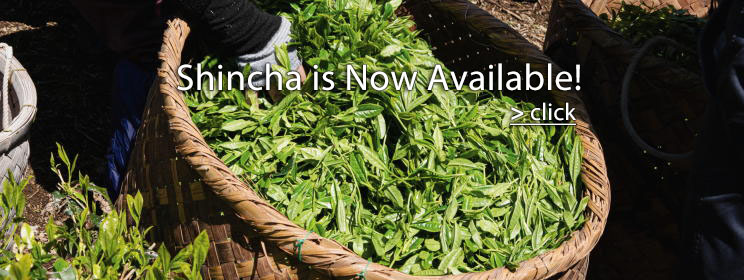 Shincha is Now Available!