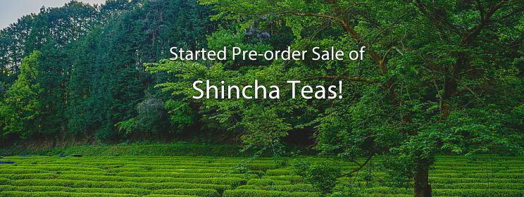 Shincha is Now Pre-orders Taken!