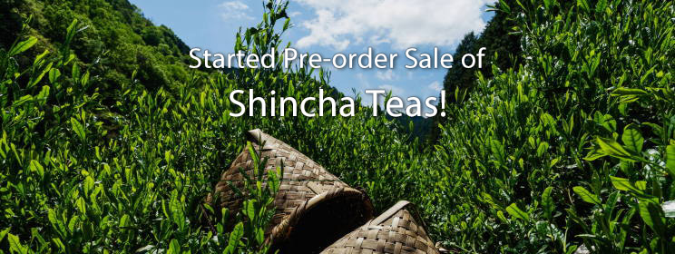 Shincha is Now Pre-orders Taken!