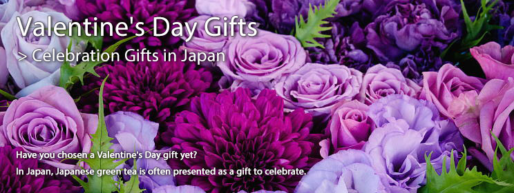 Valentine's Day Gifts