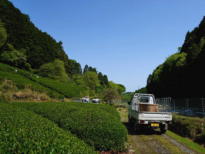 (R) For business use only. Please don't click this item.