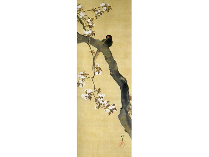 Original JUNIKAGETSU KACHOU ZU of SAKURA cherry blossom painting