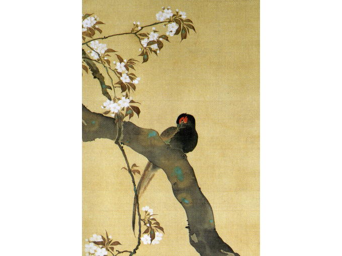 Upper part of original JUNIKAGETSU KACHOU ZU of SAKURA painting