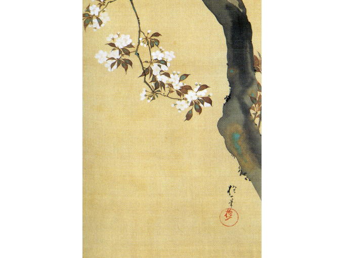 Lower part of original JUNIKAGETSU KACHOU ZU of SAKURA painting