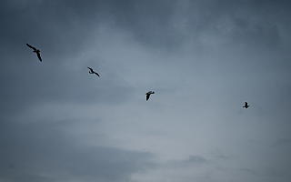 September03